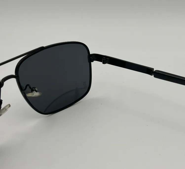 عینک آفتابی مردانه مدل P1005