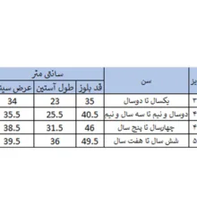 سویشرت پسرانه بچه زنبور مدل D967-8