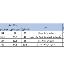 سویشرت پسرانه بچه زنبور مدل NB963-4