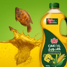 روغن مایع خوراکی مخلوط کانولا و ذرت کانویل وزن 1620 گرم