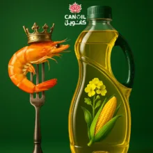 روغن مایع خوراکی مخلوط کانولا و ذرت کانویل وزن 1620 گرم