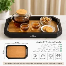 سینی دسته دار روزینکس مدل کلاسیک سایز 30*20 سانتی متر
