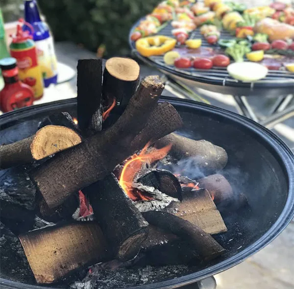 باربیکیو مدل زغالی