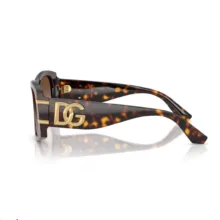 عینک آفتابی دولچه اند گابانا مدل Dolce & Gabbana DG4501S 050213