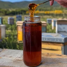 عسل طبیعی ارمغان شهد آفاق - 1000 گرم