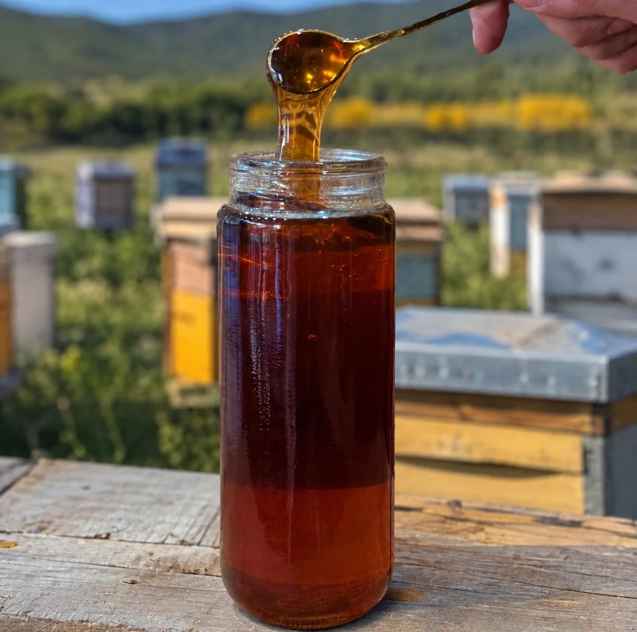 عسل طبیعی ارمغان شهد آفاق - 1000 گرم