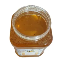 عسل گون طبیعی دینا - 1 کیلوگرم