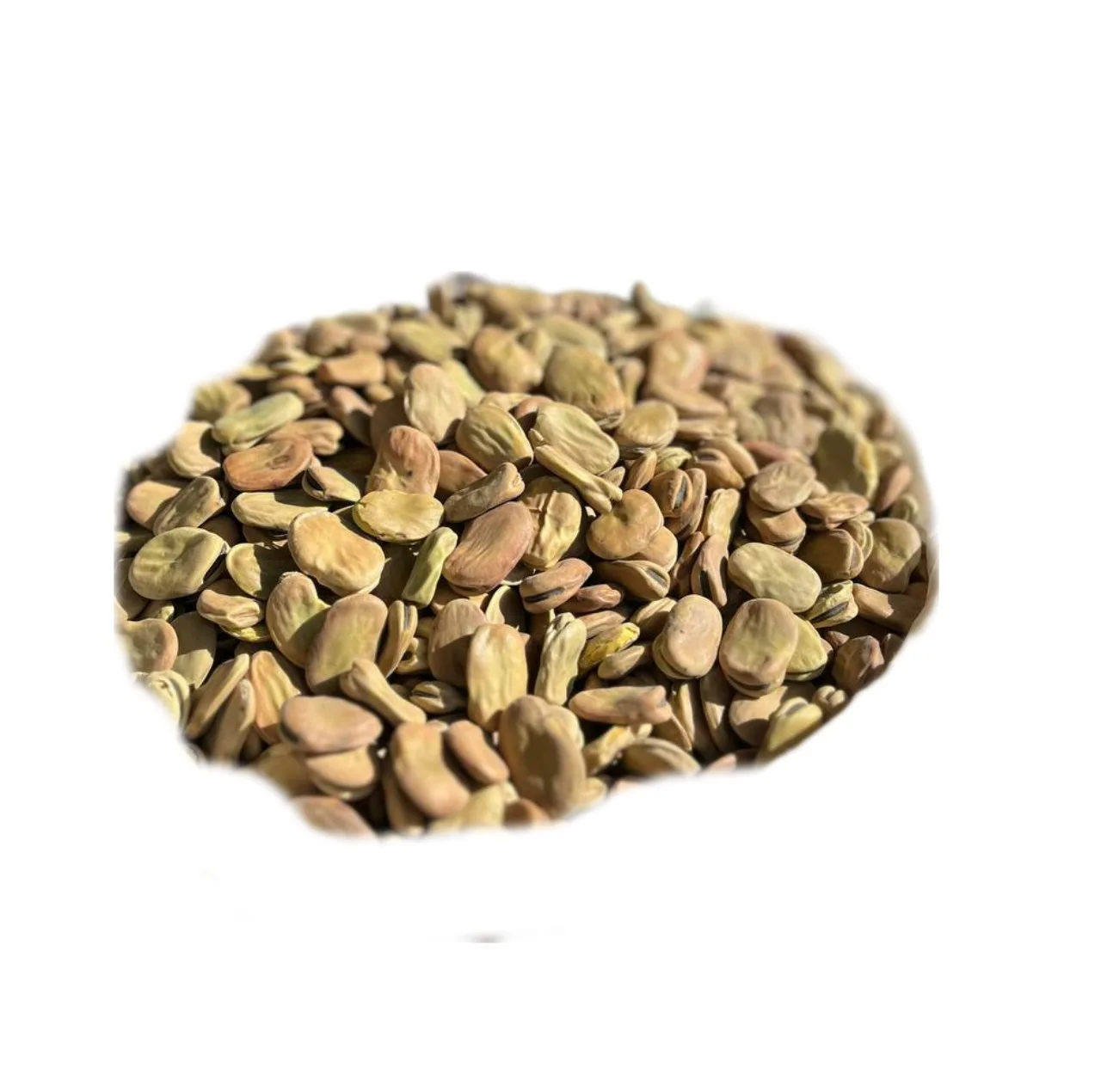 باقالی با پوست درشت پاک شده زرین برکت - 1 کیلوگرم