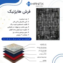 فرش ماشینی 1000 شانه هانوکس زمینه طوسی حاشیه چند رنگ مدل مدرن کد HAM.975.3