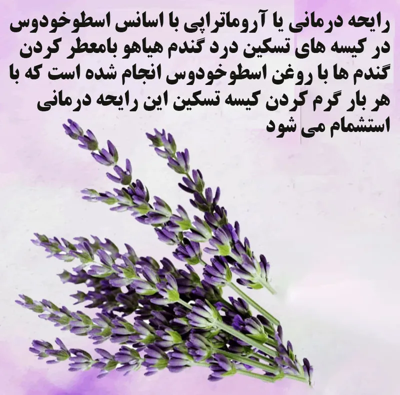کیسه تسکین درد هیاهو مدل آروماتراپی اسانس اسطوخودوس کد Wheat-30x25
