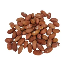 بادام زمینی آستانه اشرفیه - 900 گرم