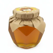 عسل گون شهد آفاق – 1 کیلوگرم