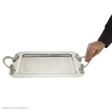 سینی سانجیکو مدل F11