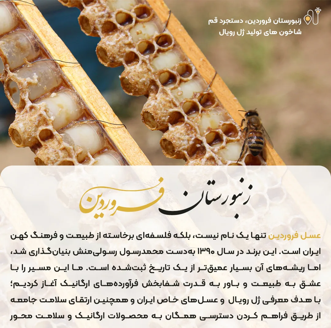 ژل رویال فروردین - 30 گرم