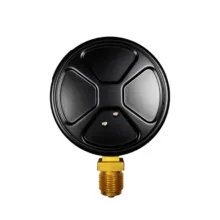 گیج فشار پکنز مدل 6bar-10cm
