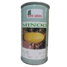 بذر خربزه مینو الیت سیدز کد B02