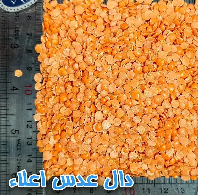 دال عدس دلاوران - 700 گرم