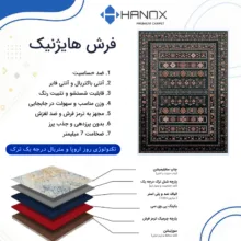 فرش ماشینی 1000 شانه هانوکس زمینه مشکی حاشیه چند رنگ مدل مدرن کد L283
