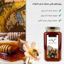 عسل طبیعی کوهی فروردین - 2000 گرم