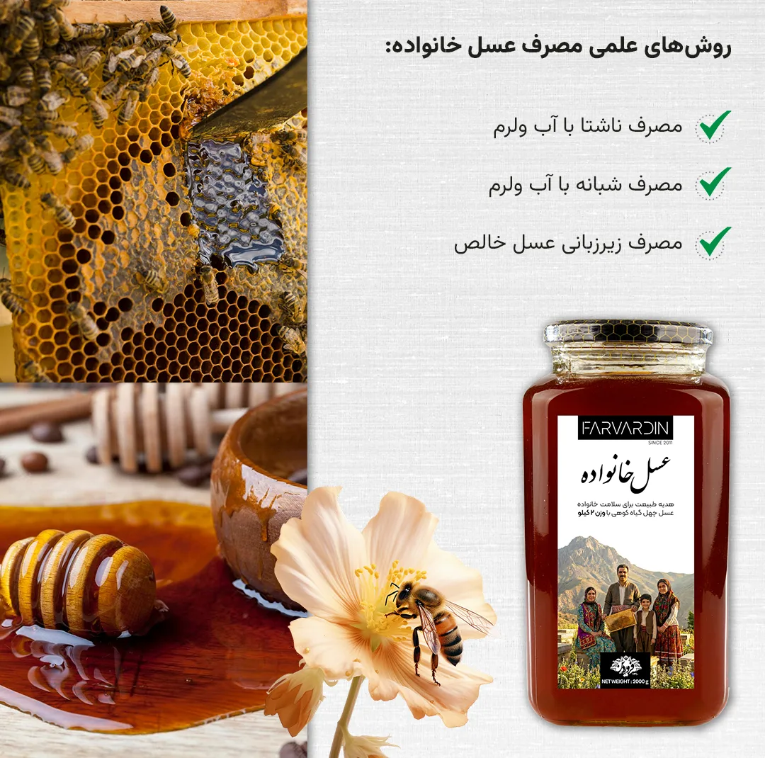 عسل طبیعی کوهی فروردین - 2000 گرم