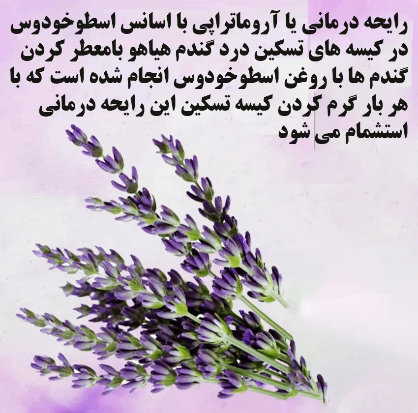 کیسه تسکین درد هیاهو مدل آروماتراپی اسانس اسطوخودوس کد Wheat-45x45-2