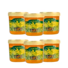 عسل پارس کندو - 500 گرم - بسته 6 عددی