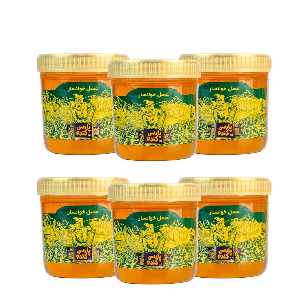 عسل پارس کندو - 500 گرم - بسته 6 عددی