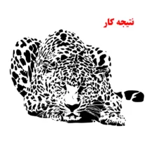 شابلون مدل پلنگ کد SP736-1