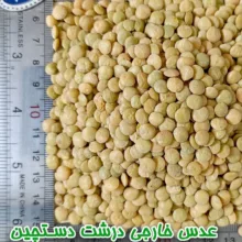 عدس درشت دلاوران - 700 گرم