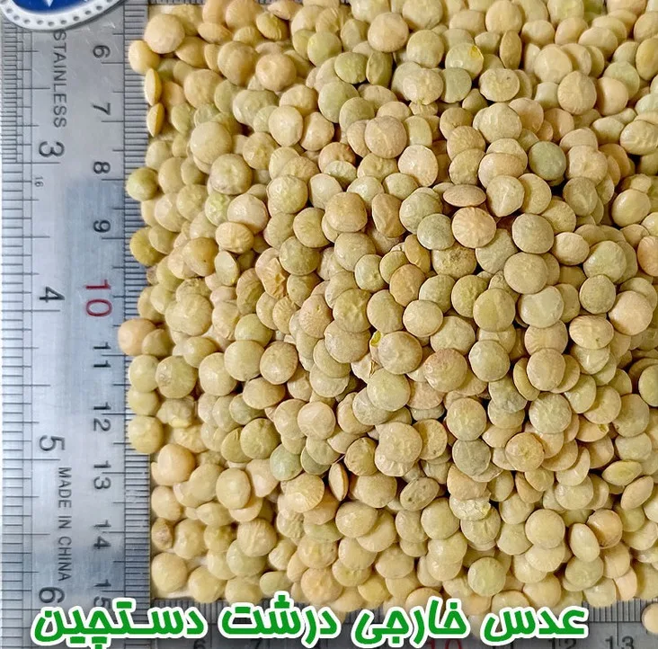 عدس درشت دلاوران - 700 گرم