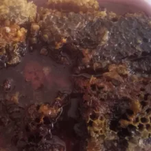 عسل سیاه وحشی - ۱۰۰۰ گرم