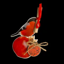 گیفت مدل یلدا طرح سینه سرخ کد 5 بسته 10 عددی