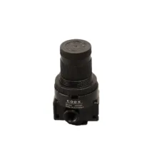 رگولاتور پنوماتیک کوئکس مدل Coex-M-AR2000