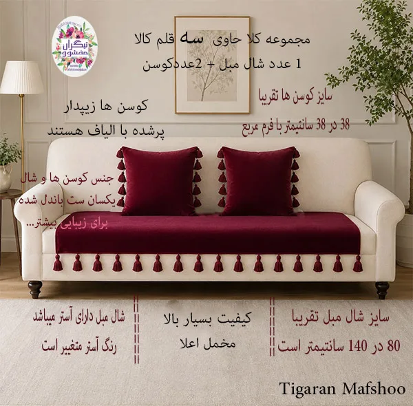 کوسن تیگران مفشوو مدل BIGMNL سایز 38×38 سانتی متر مجموعه 2 عددی به همراه شال مبل