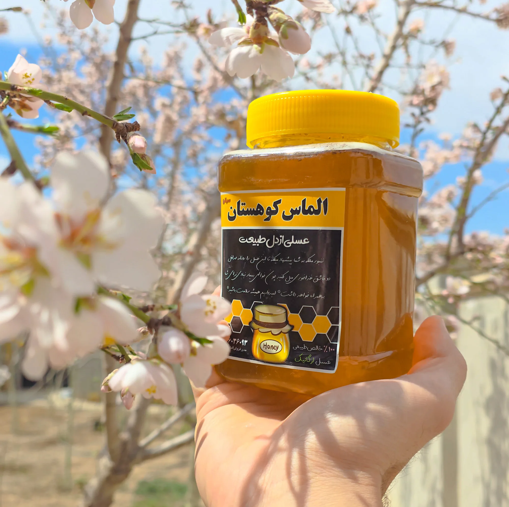 عسل طبیعی ویژه کودکان حرارت ندیده الماس کوهستان - 1 کیلوگرم