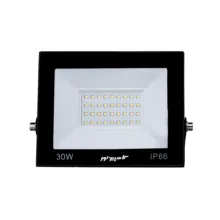 پروژکتور ال ای دی 30 وات کاسپین نور مدل IP66