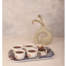سینی دسته دار مهروز مدل A-1003 چمدان سایز 20×32 سانتی متر