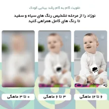فلش کارت آموزشی طرح کتاب پارچه ای سیاه و سفید و رنگی مناسب رشد بینایی و افزایش تمرکز مدل نوزاد
