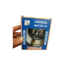 درجه باد میشلن مدل OM-100-۱۱