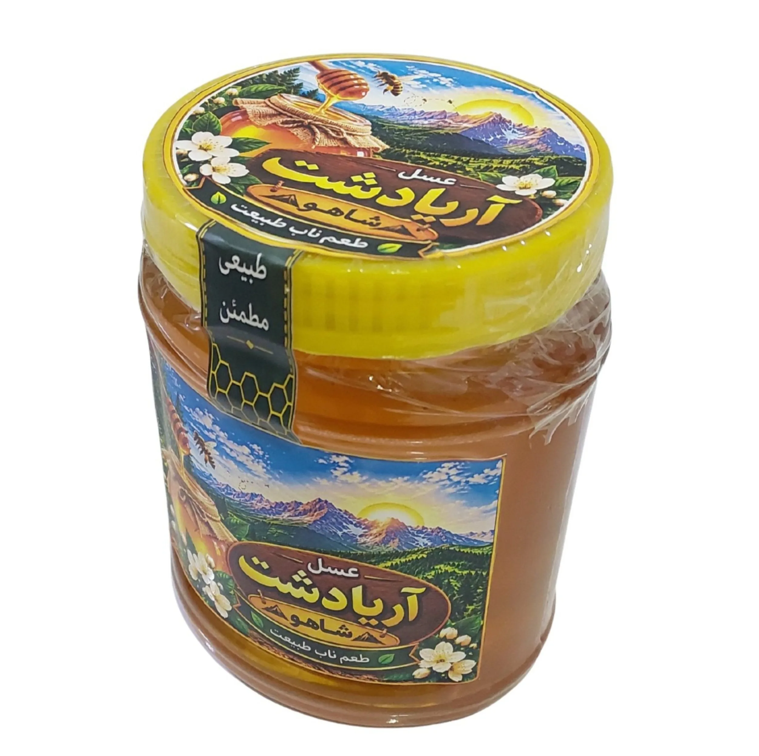 عسل طبیعی آریا دشت - ۹۵۰ گرم