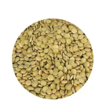 عدس درشت درجه 1 - 1000 گرم