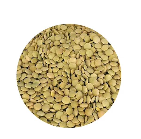 عدس درشت درجه 1 - 1000 گرم