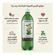 شربت خارخاسک برنا کامبوجا - 1 لیتر