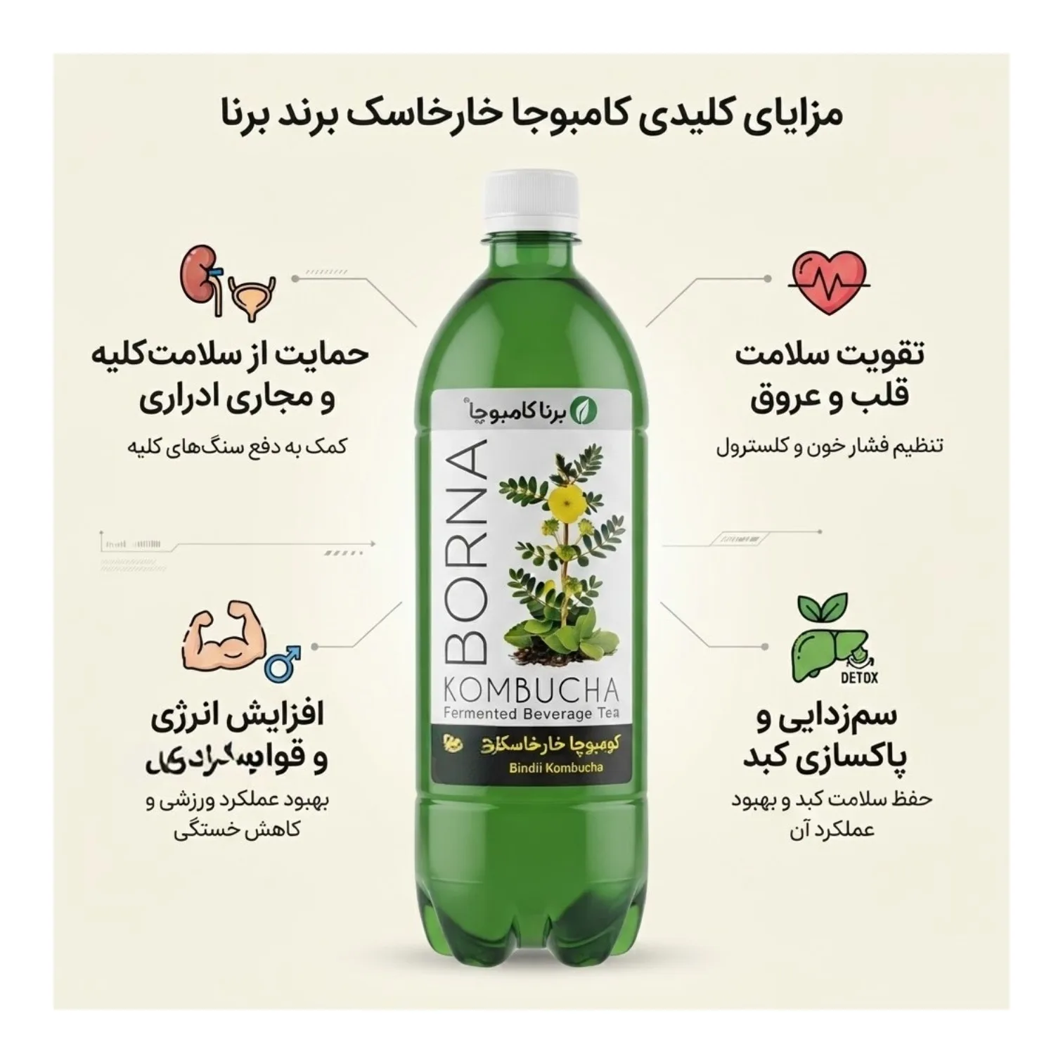 شربت خارخاسک برنا کامبوجا - 1 لیتر