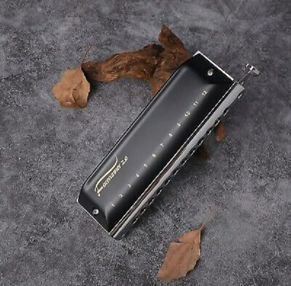 سازدهنی کروماتیک ایستاپ مدل Forerunner 2.0