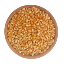 دانه ذرت خام - 1 کیلوگرم