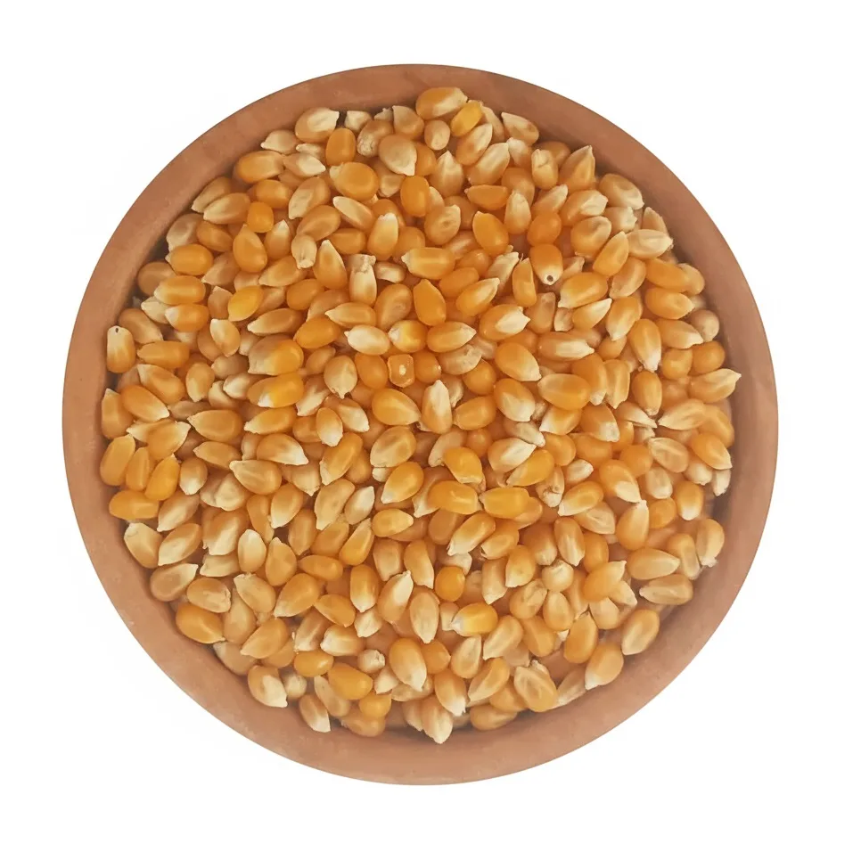 دانه ذرت خام - 1 کیلوگرم