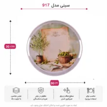 سینی دسته دار مهروز مدل 917 زیتون سایز 30×30 سانتی متر