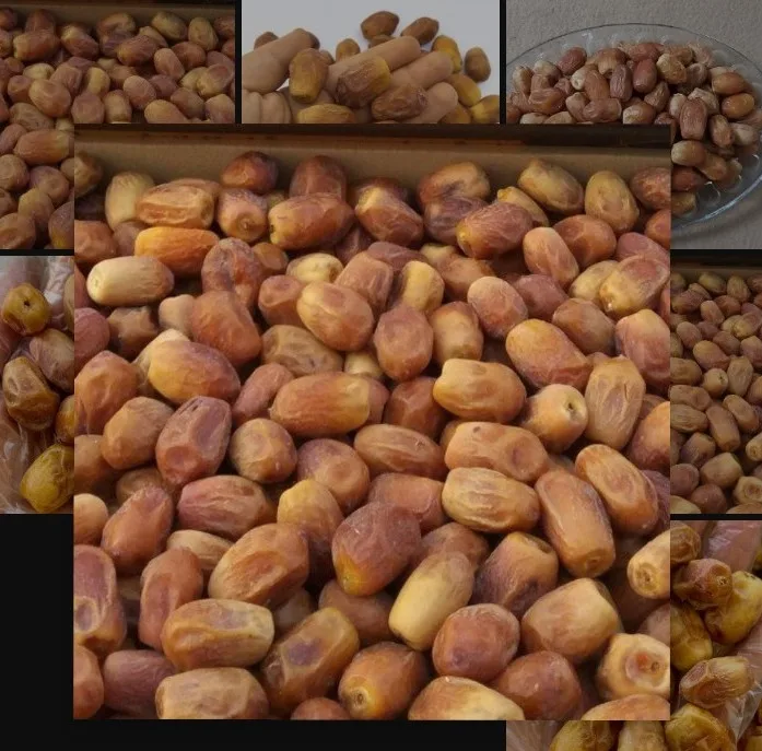 خرمای زاهدی - 10000 گرم