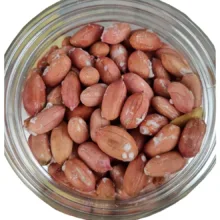 بادام زمینی ارگانیک طعم خونه - 800 گرم بسته 2 عددی